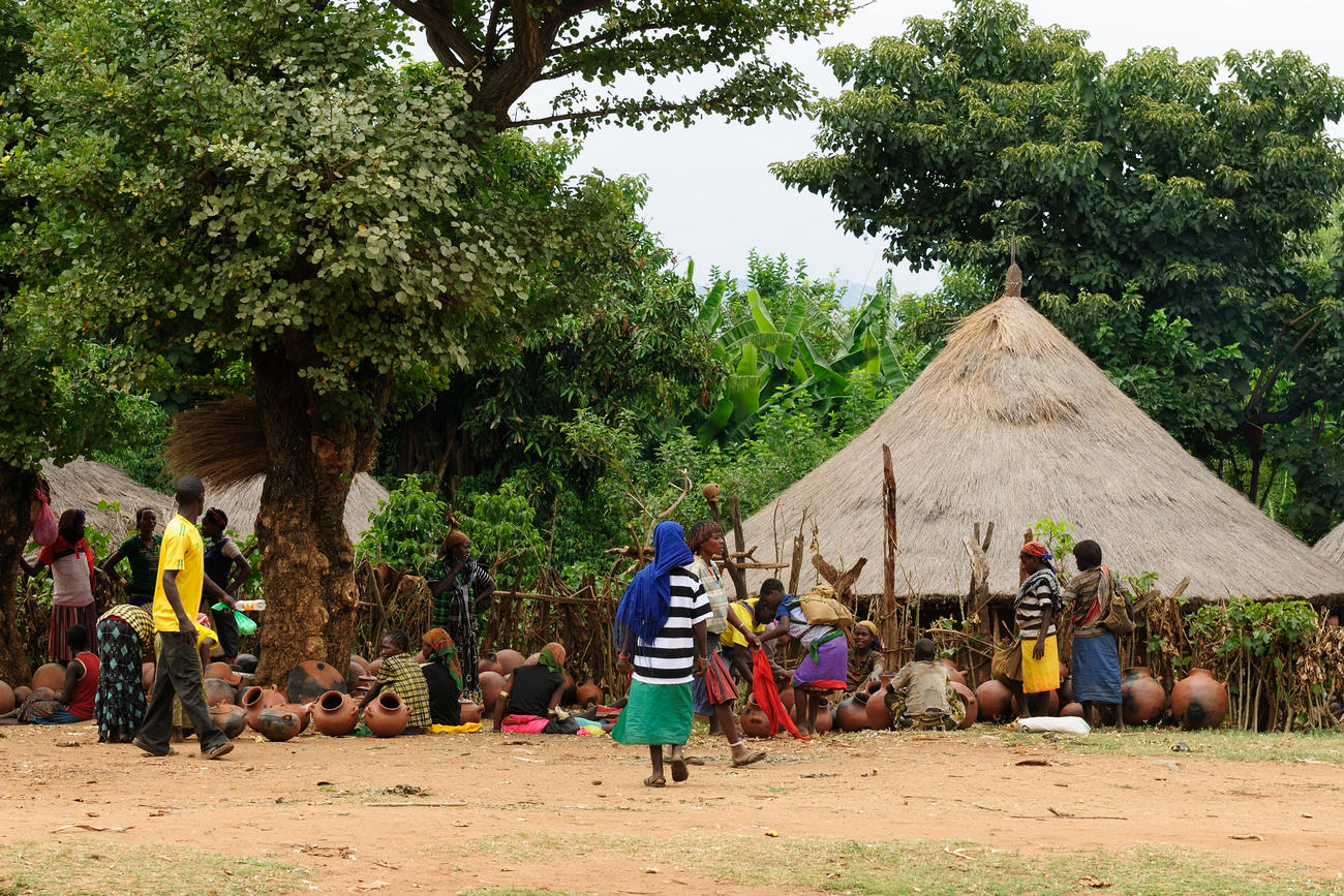 10c02097_Jinka – dreamstime_xxl_65987799