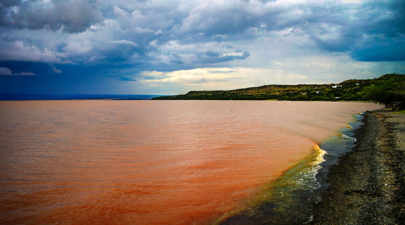 ea822b6a_Langano lake coastline, Oromia – dreamstime_xxl_116721584