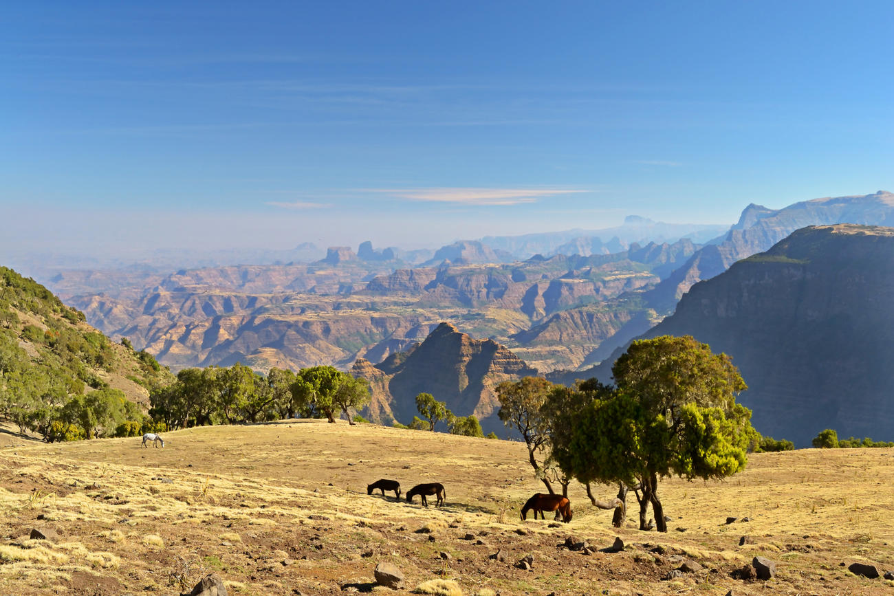 f581484c_Simien Mountains – dreamstime_xl_27714848